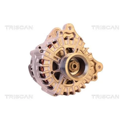 Alternátor 8310 25032 /TRISCAN/ - obr. 4