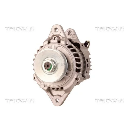 Alternátor 8310 29011 /TRISCAN/ - obr. 5