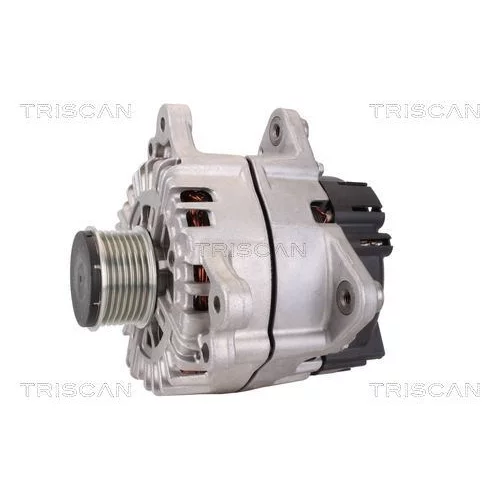 Alternátor 8310 29024 /TRISCAN/ - obr. 6