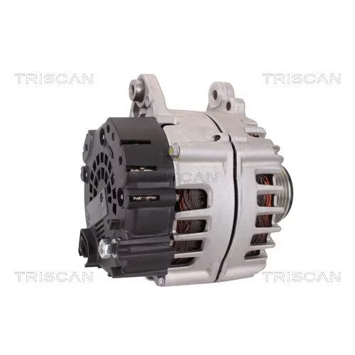 Alternátor 8310 29025 /TRISCAN/ - obr. 2