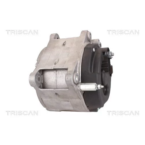 Alternátor 8310 29028 /TRISCAN/ - obr. 7