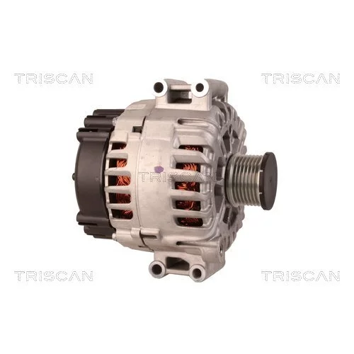 Alternátor 8310 29030 /TRISCAN/ - obr. 3
