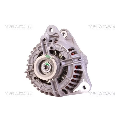 Alternátor 8310 29031 /TRISCAN/ - obr. 5