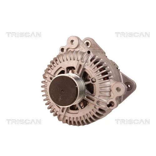 Alternátor 8310 29036 /TRISCAN/ - obr. 5