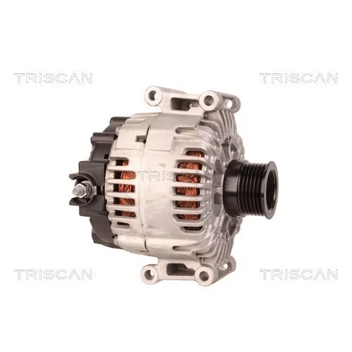 Alternátor 8310 29060 /TRISCAN/ - obr. 3