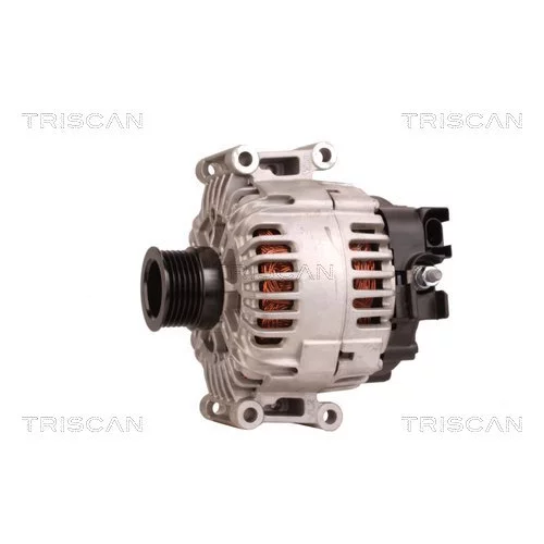 Alternátor 8310 43009 /TRISCAN/ - obr. 6