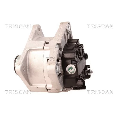 Alternátor 8310 68006 /TRISCAN/ - obr. 7