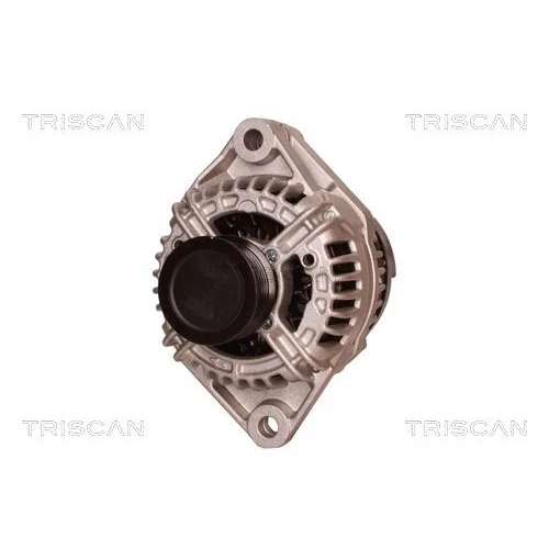 Alternátor 8310 68009 /TRISCAN/ - obr. 5
