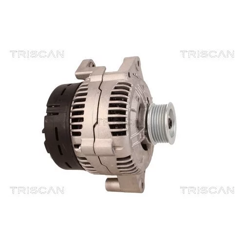 Alternátor 8310 69013 /TRISCAN/ - obr. 3