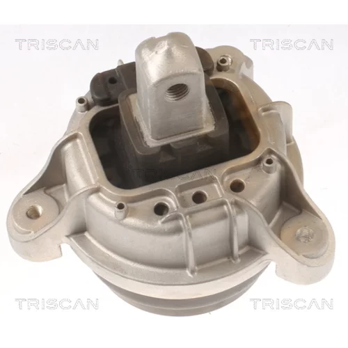 Uloženie motora TRISCAN 8505 11116