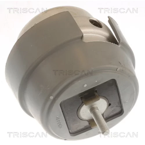 Uloženie motora 8505 29169 /TRISCAN/ - obr. 1