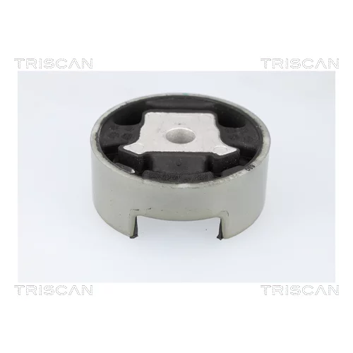 Uloženie motora TRISCAN 8505 29188