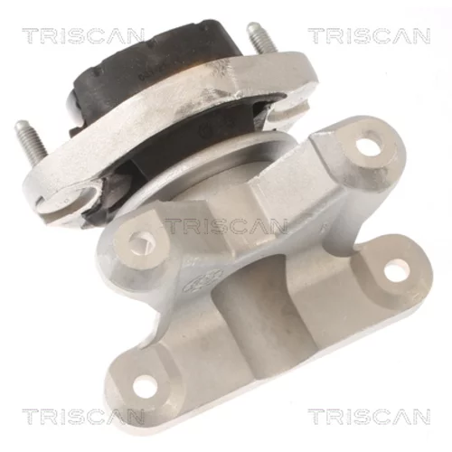 Uloženie automatickej prevodovky 8505 29202 /TRISCAN/ - obr. 1