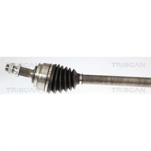 Hnací hriadeľ 8540 10579 /TRISCAN/ - obr. 1