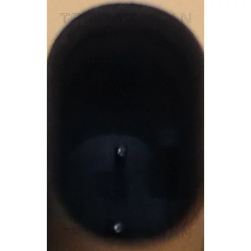 Termostat chladenia 8620 55088 /TRISCAN/ - obr. 1