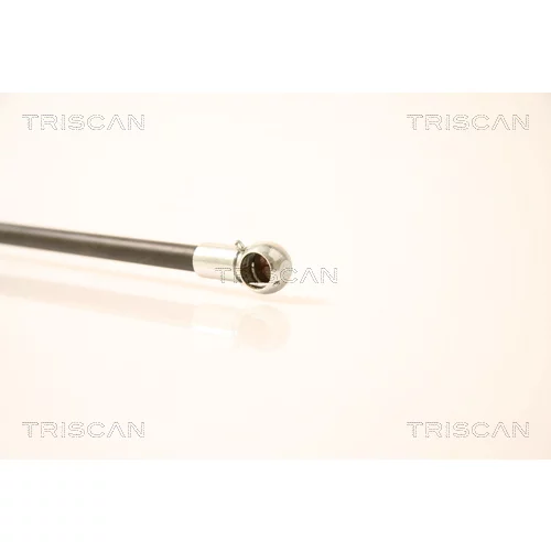 Pneumatická pružina, Batožinový/nákladný priestor 8710 23209 /TRISCAN/ - obr. 2