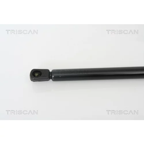 Pneumatická pružina, Batožinový/nákladný priestor 8710 28229 /TRISCAN/ - obr. 1