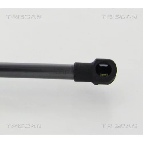 Pneumatická pružina, Batožinový/nákladný priestor 8710 42246 /TRISCAN/ - obr. 1