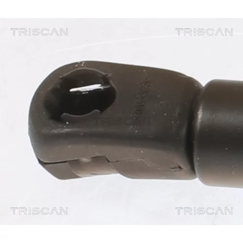 Pneumatická pružina, Batožinový/nákladný priestor 8710 43250 /TRISCAN/ - obr. 1