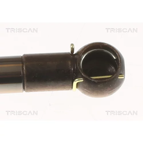 Pneumatická pružina, Batožinový/nákladný priestor 8710 50213 /TRISCAN/ - obr. 2