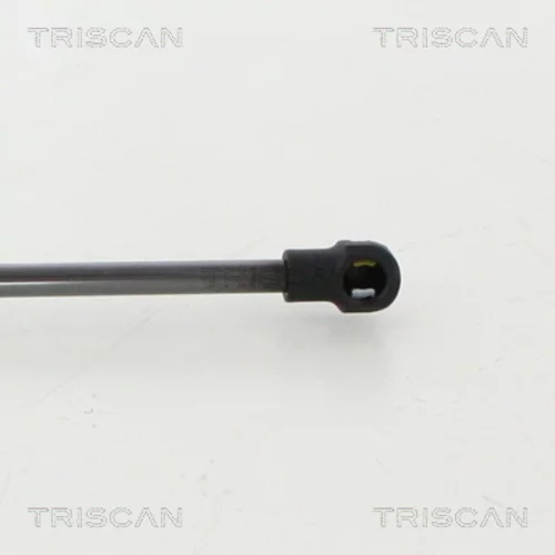 Pneumatická pružina, Batožinový/nákladný priestor 8710 50259 /TRISCAN/ - obr. 2
