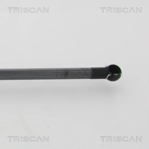 Pneumatická pružina, Batožinový/nákladný priestor 8710 68217 /TRISCAN/ - obr. 2