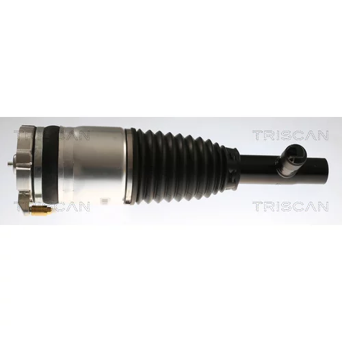 Vzduchový vak TRISCAN 8720 27101