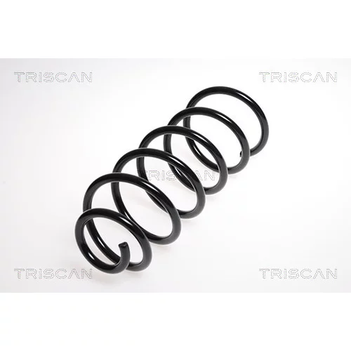Pružina podvozku TRISCAN 8750 24117