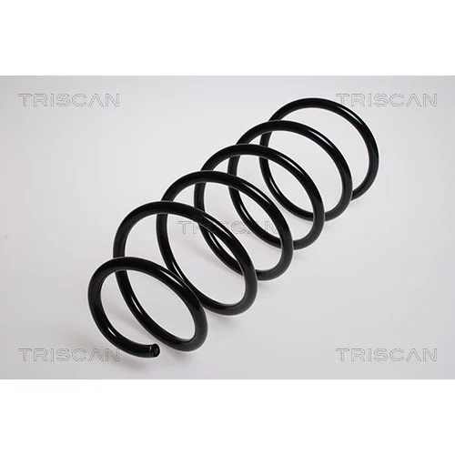 Pružina podvozku TRISCAN 8750 2759