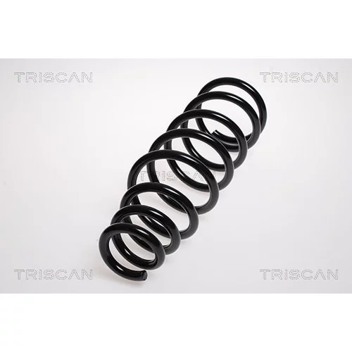Pružina podvozku TRISCAN 8750 4248