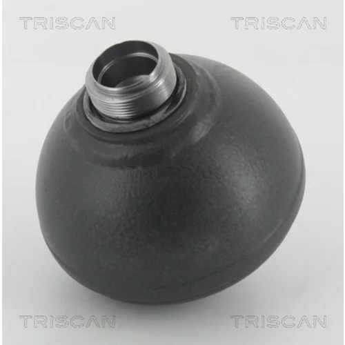 Tlakový zásobník, Pruženie/Tlmenie TRISCAN 8760 38304