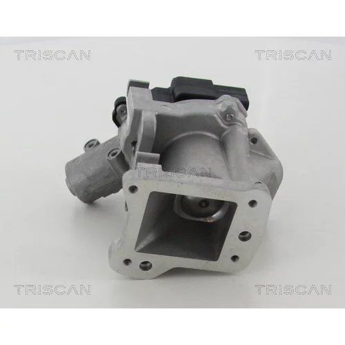 EGR ventil 8813 10007 /TRISCAN/ - obr. 3