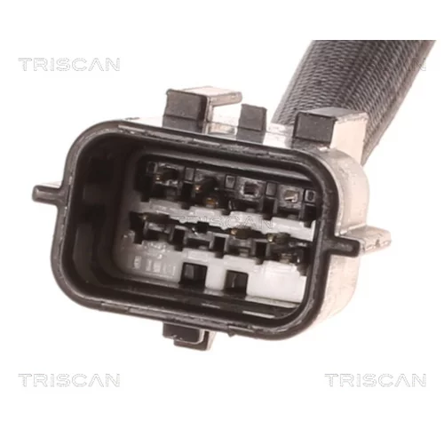 EGR ventil 8813 10012 /TRISCAN/ - obr. 1