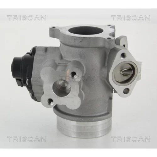 EGR ventil 8813 10012 /TRISCAN/ - obr. 3