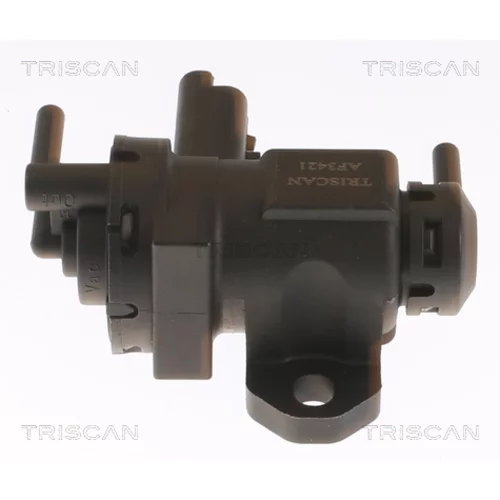 Menič tlaku, Riadenie výfukových plynov 8813 10047 /TRISCAN/ - obr. 2