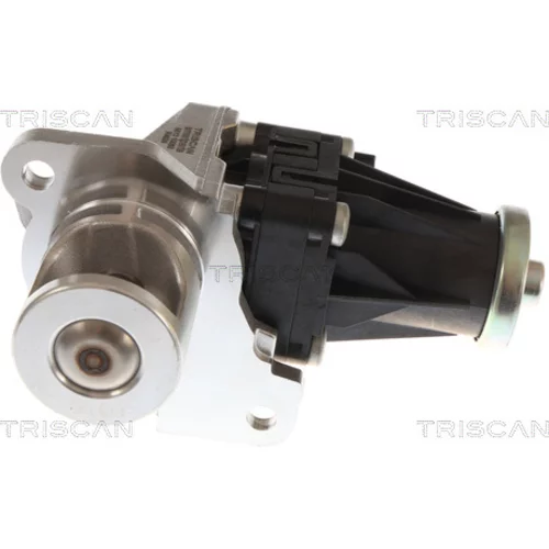 EGR ventil TRISCAN 8813 10060