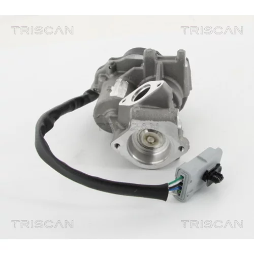 EGR ventil 8813 10202 /TRISCAN/ - obr. 2
