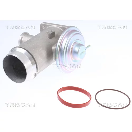 EGR ventil TRISCAN 8813 11102