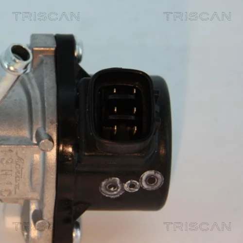 EGR ventil 8813 13028 /TRISCAN/ - obr. 1