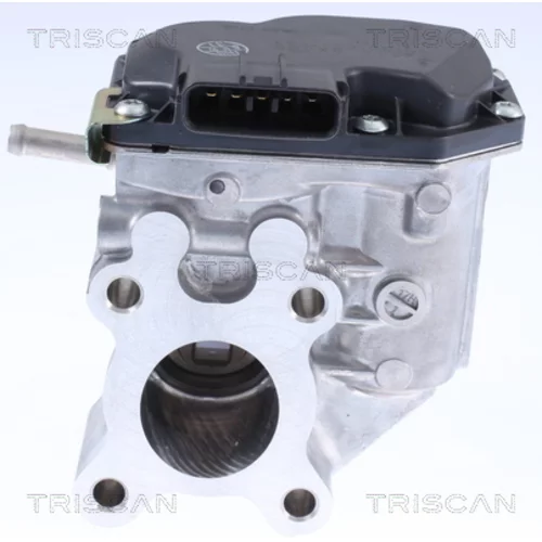 EGR ventil 8813 14015 /TRISCAN/ - obr. 1