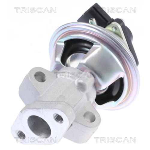 EGR ventil 8813 16069 /TRISCAN/ - obr. 2
