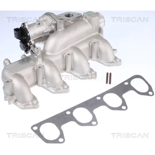 EGR ventil TRISCAN 8813 16160