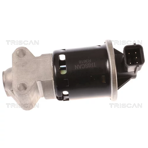 EGR ventil 8813 21100 /TRISCAN/ - obr. 1