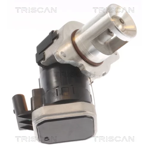 EGR ventil 8813 23021 /TRISCAN/ - obr. 2