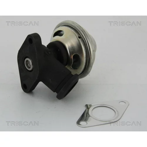 EGR ventil 8813 28042 /TRISCAN/ - obr. 1