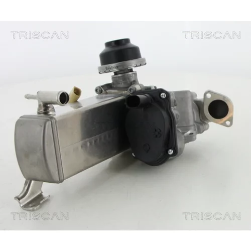 EGR ventil TRISCAN 8813 29071