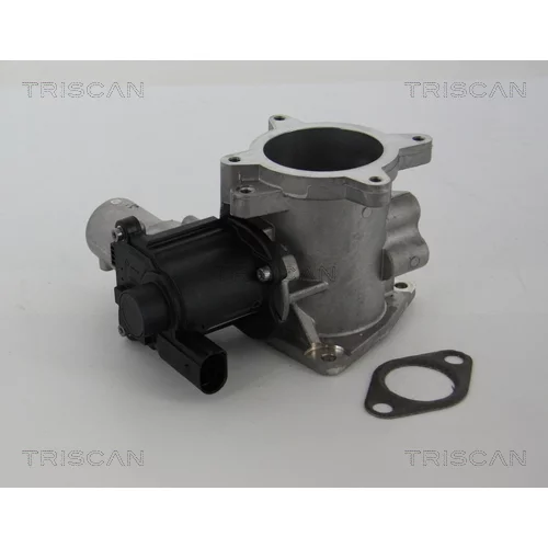 EGR ventil TRISCAN 8813 29105