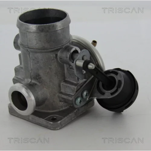 EGR ventil TRISCAN 8813 29300