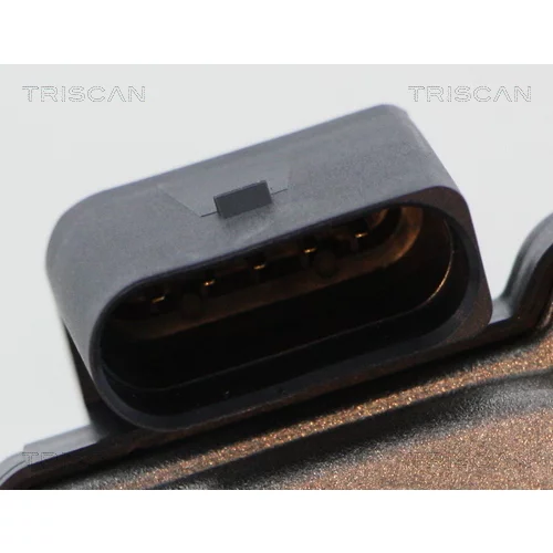 EGR ventil 8813 29316 /TRISCAN/ - obr. 1