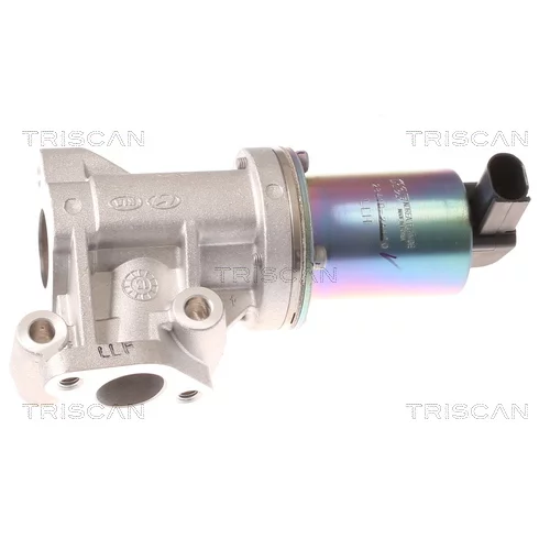 EGR ventil TRISCAN 8813 43001